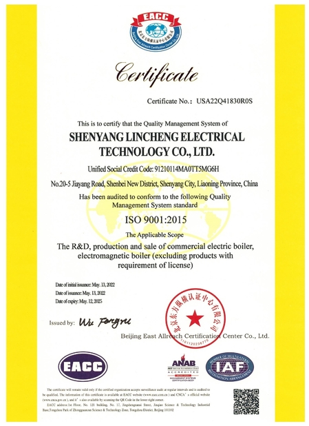Porcellana shenyang lincheng Technology Co., Ltd Certificazioni