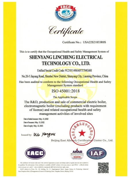 Porcellana shenyang lincheng Technology Co., Ltd Certificazioni